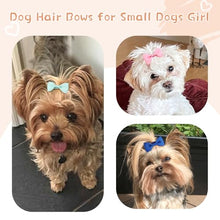 Load image into Gallery viewer, NCMAMA Dog Hair Bows with Rubber Bands for Small Dog Puppy Girls Grooming
