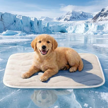 Load image into Gallery viewer, ZiTour Dog Cooling Mat, Chill Soothing Fabric to Rapid Cooling, Portable Washable Kennel Bed for Summer Active Dog (White, 48“x30)
