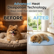Load image into Gallery viewer, ZiTour Dog Cooling Mat, Chill Soothing Fabric to Rapid Cooling, Portable Washable Kennel Bed for Summer Active Dog (White, 41“x28)

