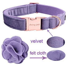 Load image into Gallery viewer, ARING PET Velvet Dog Collars, Purple Soft Pet Collar with Detachable Felt Flower Metal Buckle for Puppy Small Medium Large Boy Girl Dogs-XL
