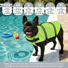 Load image into Gallery viewer, Doglay Dog Life Jacket with Rescue Handle, Dog Life Vest for Swimming Boating, Adjustable Reflective Puppy Swim Vest with Superior Buoyancy for Small Medium Large Dogs
