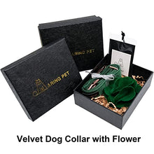 Load image into Gallery viewer, ARING PET Velvet Dog Collars, Dark Green Soft Pet Collar with Detachable Felt Flower Metal Buckle for Puppy Small Medium Large Boy Girl Dogs-M
