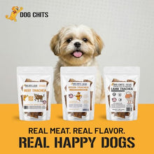 Load image into Gallery viewer, Dog Chits Bison Trachea Dog Treats - 100% Single Ingredient, High Protein, Lower Fat - Glucosamine for Joint Support - Dental-Clean Crunch - Gentler on Digestion Than Beef - 2-3 inch, 8 oz
