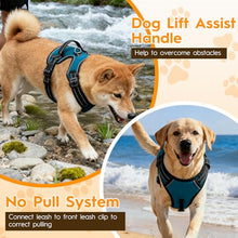 Load image into Gallery viewer, No Pull Dog Harness, No-Choke Soft Padded Reflective Dog Vest Harness with Front Clip &amp; Top Handle, 2 Quick-Release Buckles, Adjustable for Small Medium Large Dogs
