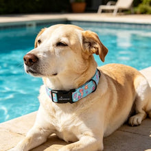 Load image into Gallery viewer, ARING PET Summer Dog Collar, Cute Blue Starfish Seahorse Doggy Collars for Puppy Small Medium Large Boy Girl Dogs Pet, for Daily Photos Outdoor Beach Walking Picnic, S
