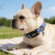 Load image into Gallery viewer, ARING PET Summer Dog Collar, Cute Blue Ice Pop Ice Cream 4th of July Pet Collars for Puppy Small Medium Large Female Girl Dogs-L
