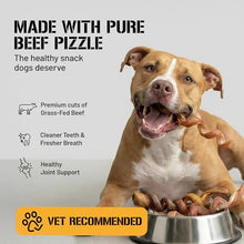 Load image into Gallery viewer, Dog Chits Curly Bully Sticks for Dogs &amp; Puppies - 100% Beef Pizzle, High Protein, Low Fat Dog Chew Sticks - Baked, Low-Odor – Long-Lasting, Keep Dogs Engaged &amp; Happy - Made in USA - 12 inch, 3 Pack
