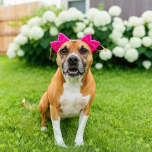 Load image into Gallery viewer, 3-Pack Double Bow Dog Headbands – Dog Hairbows with Double Band, Adjustable Pet Hair Accessories for Small &amp; Medium Dogs, Cute Hair Bows for Daily Wear &amp; Special Occasions
