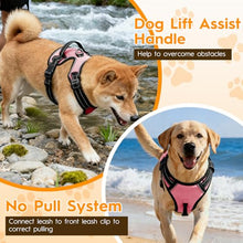Load image into Gallery viewer, No Pull Dog Harness, No-Choke Soft Padded Reflective Dog Vest Harness with Front Clip &amp; Top Handle, 2 Quick-Release Buckles, Adjustable for Small Medium Large Dogs
