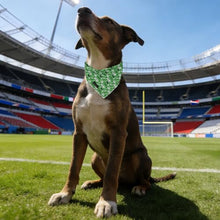 Load image into Gallery viewer, ARING PET Soccer Dog Bandanas, Cute Green Pet Bandana Scarf Triangle Bibs for Puppy Small Medium Large Boy Girl Dogs Cats-L
