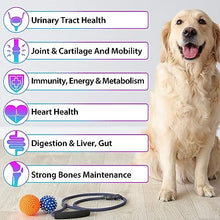 Load image into Gallery viewer, Dog Multivitamin Liquid Drops - 15 in 1 with Glucosamine, MSM &amp; Cranberry, Supports Joint, Skin &amp; Coat, Immune, Heart &amp; Urinary Health, 2 fl oz
