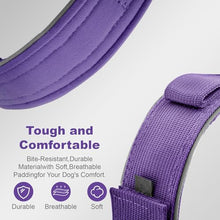 Load image into Gallery viewer, 2026 Upgrade Dog Collar with IPX8 Waterproof AirTag Holder,Military Tactical Comfortable Control Handle and Ultra-Durable Metal Buckle/Night Reflective,GPS Collar for Medium to Large Dog（Purple/M）
