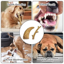 Load image into Gallery viewer, CARELAX Durable Dog Chew Toys for Aggressive Chewers - Real Bacon Flavor, Indestructible 2-Pack for Large Dogs, Medium &amp; X-Large Options Available， Size-1
