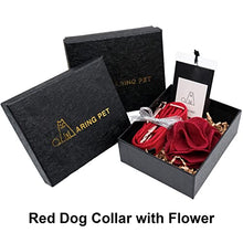 Load image into Gallery viewer, ARING PET Velvet Dog Collars, Christmas Red Soft Pet Collar with Detachable Felt Flower Metal Buckle for Puppy Small Medium Large Boy Girl Dogs-XL
