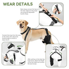 Load image into Gallery viewer, Dog Knee Brace for Back Leg, Adjustable Dog Leg Brace for Torn ACL Hind Leg Support, Joint Stability, Injury Recovery, Pain Relief, Dogs Rear Leg Wrap Harness Set with Collar and Leash
