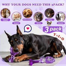 Load image into Gallery viewer, Baypetly 3Pack Dog Chew Toys for Aggressive Chewers, Indestructible Interactive Dog Chew Nylon Bone Toys for for Medium Large Breed 15-60lbs, Teething Toy to Keep Them Busy, Bacon Flavor (Purple)
