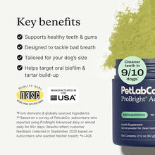 Load image into Gallery viewer, PetLab Co. ProBright Advanced Dental Powder, Medium Sized Dogs, 30 Scoops
