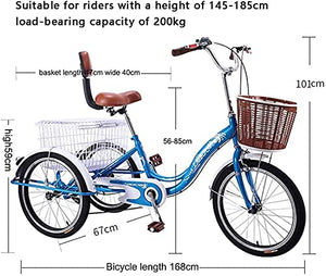 Adult Tricycle - 3 Wheel Bikes for Adults Shopping 3 Wheel Bike Adult, Three Wheel Cruiser Bike 20 Inch Wheels