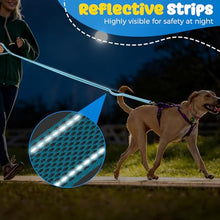 Load image into Gallery viewer, Heavy Duty Dog Leash with Easy Lock Metal Clip, Reflective, Padded Handle - Durable 4ft 8ft Walking Training Leash for Large, Medium, Small Dogs, Jogging, Hiking, and Outdoor Use (Blue, 4 FT)
