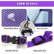 Load image into Gallery viewer, FEimaX Dog Harness and Leash Set, No-Pull Breathable Soft Mesh Puppy Vest Harness Reflective Adjustable Pet Harnesses for Small Medium Dogs and Cats - Outdoor Easy Control for Walking
