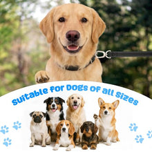 Load image into Gallery viewer, Heavy Duty Dog Leash with Easy Lock Metal Clip, Reflective, Padded Handle - Durable 4ft 8ft Walking Training Leash for Large, Medium, Small Dogs, Jogging, Hiking, and Outdoor Use (Black, 6 FT)
