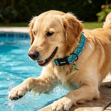 Load image into Gallery viewer, ARING PET Dinosaur Dog Collar, Cute Green Blue Boy Doggy Skate Dino Collars for Puppy Small Medium Large Male Dogs, for Daily Photos Summer Beach Walking Hiking Picnic-XS
