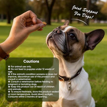 Load image into Gallery viewer, Joint Supplement for Dogs 200 ct, Glucosamine Chondroitin MSM for All Dogs
