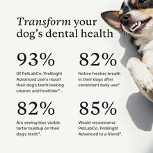 Load image into Gallery viewer, PetLab Co. ProBright Advanced Dental Powder - Dog Breath Freshener - Teeth Cleaning Made Easy – Targets Tartar &amp; Bad Breath - Packaging May Vary - Formulated for Small Dogs
