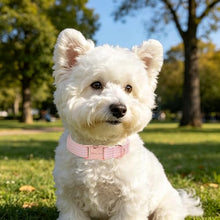 Load image into Gallery viewer, ARING PET Girl Dog Collar for Puppy Small Medium Large Dogs-Pink Stripe L
