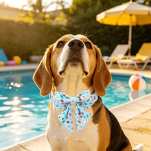 Load image into Gallery viewer, ARING PET Summer Dog Collar with Bow, Cute Blue Ice Pop Sailor Bowtie Pet Doggy Collars with Metal Buckle for Puppy Small Medium Large Boy Girl Dogs-L
