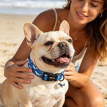 Load image into Gallery viewer, ARING PET Summer Dog Collar, Cute Blue Ocean White Whale Doggy Collars for Puppy Small Medium Large Boy Girl Dogs Pet, for Daily Photos Beach Walking Hiking Picnic-M
