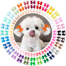 Load image into Gallery viewer, NCMAMA Dog Hair Bows with Rubber Bands for Small Dog Puppy Girls Grooming
