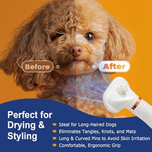Load image into Gallery viewer, 3-in-1 Pet Hair Dryer Brush for Dogs &amp; Cats Portable, Dog Hair Blower &amp; Slicker Brush Adjustable Temp (Low/Middle/High), Overheat Protection
