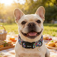 Load image into Gallery viewer, ARING PET Girl Dog Collar, Cute Spring Summer Blue Daisy Floral Pet Collars for Puppy Small Medium Large Female Girly Dogs-M, for Daily Outdoor Walking Training
