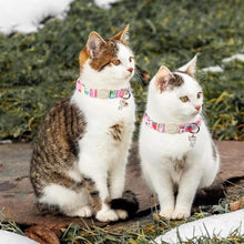 Load image into Gallery viewer, ARING PET 2 Pack Cat Collars-Cute Breakaway Summer Cat Collar with Bell &amp; Pendant, Adjustable Strawberry&amp;Ice Cream Pattern Kitten Collars with Safety Buckle for Girl and Boy Cats
