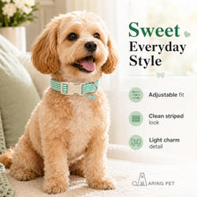 Load image into Gallery viewer, ARING PET Stripe Dog Collar, Cute Spring Summer Teal Stripe Pet Collars with Bow Charm for Puppy Small Medium Large Boy Girl Dogs, for Daily Outdoor Walking Beach Stroll-S
