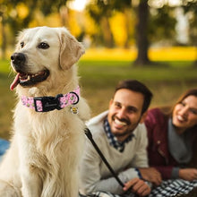 Load image into Gallery viewer, ARING PET Bee Dog Collar, Cute Spring Summer Pink Yellow Honeybees Pet Collars for Puppy Small Medium Large Boy Girl Dogs-M
