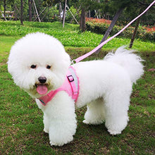 Load image into Gallery viewer, FEimaX Dog Harness and Leash Set for Walking, Soft Mesh Adjustable Easy Control Lightweight Cat Vest Harnesses with Reflective Strips, Escape Proof Small Dogs Cats Vests (Pink, Large)
