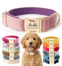 Load image into Gallery viewer, Dog Collar Personalized with Name Engraved - Light Gold Quick Release Buckle, Soft Velvet Lined, Comfortable Gift for Small, Medium, Large Dogs
