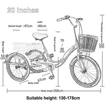 Load image into Gallery viewer, Three Wheel Bike, 20in Adult Tricycle with Shopping Basket Cruiser Bike High Carbon Steel Frame for Recreation Shopping
