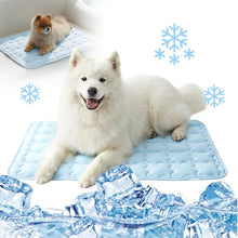 Load image into Gallery viewer, YAUNJI Dog Cooling Eco-Friendly Mat, 2026 New Portable Pet Cooling Pad for Dogs Cats Sleeping Mat for Home Outdoor, Washable Dog Water Bed for Bored Indoor Summer (Blue, Large)
