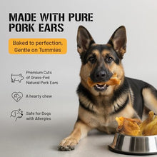 Load image into Gallery viewer, Dog Chits Pig Ears for Dogs – 100% Natural Baked Pig Ear Dog Treats &amp; Training Chews – High Protein, Lower Fat, Grain-Free – Great for Puppies, Dental Support – Medium Size, 15 Pack – Made in USA
