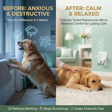 Load image into Gallery viewer, Calming Diffuser for Dog, Pheromone Plug-in Set (2 Diffusers &amp; 6 Refill 48ml) for Dog Anxiety Relief, Reduces Barking, Aggression, Destructive Behavior, Fireworks Fear, 180-Day Dogs Calming Diffuser
