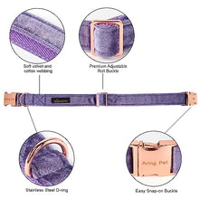 Load image into Gallery viewer, ARING PET Bowtie Dog Collar-Velvet Dog Collars with Removable Bowtie, Cute &amp;Comfortable Purple Dog Collar,X-Small.
