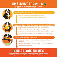 Load image into Gallery viewer, Bernie's Healthy Hips, Hip and Joint Supplement for Dogs, 90 Ct Soft Chews
