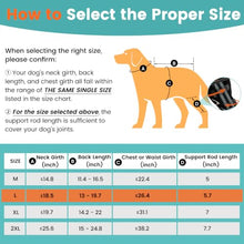 Load image into Gallery viewer, Snagle Paw Dog Knee Braces for Back Legs, ACL/CCL Support, L
