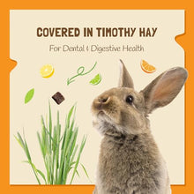 Load image into Gallery viewer, DOC EDDIE'S Vitamin C Bites Soft &amp; Chewy Treats for Hamster, Rabbit, Chinchilla, Bunny, Gerbil, Mouse, Rat, Hedgehog, Squirrel, &amp; Guinea Pig Friendly - Made w/Real Fruit &amp; Organic, New &amp; Tastier
