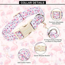 Load image into Gallery viewer, ARING PET Summer Dog Collar, Cute Flamingo Doggy Collars for Puppy Small Medium Large Boy Girl Dogs, for Daily Photos Beach Walking Hiking Picnic-M
