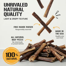 Load image into Gallery viewer, Dog Chits Bully Sticks for Dogs &amp; Puppies - 100% Beef Pizzle, High Protein, Low Fat Dog Chew Sticks - Baked, Low-Odor – Long-Lasting Chew, Keep Dogs Engaged &amp; Happy - Made in USA - 12 inch, 6 Pack
