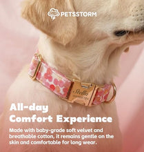 Load image into Gallery viewer, Personalized Polyester Collar, Personalized Polyester Dog Collar with Name and Phone Number, Customizable Laser-Engraved Collar with Metal Quick Release Buckle for Dogs
